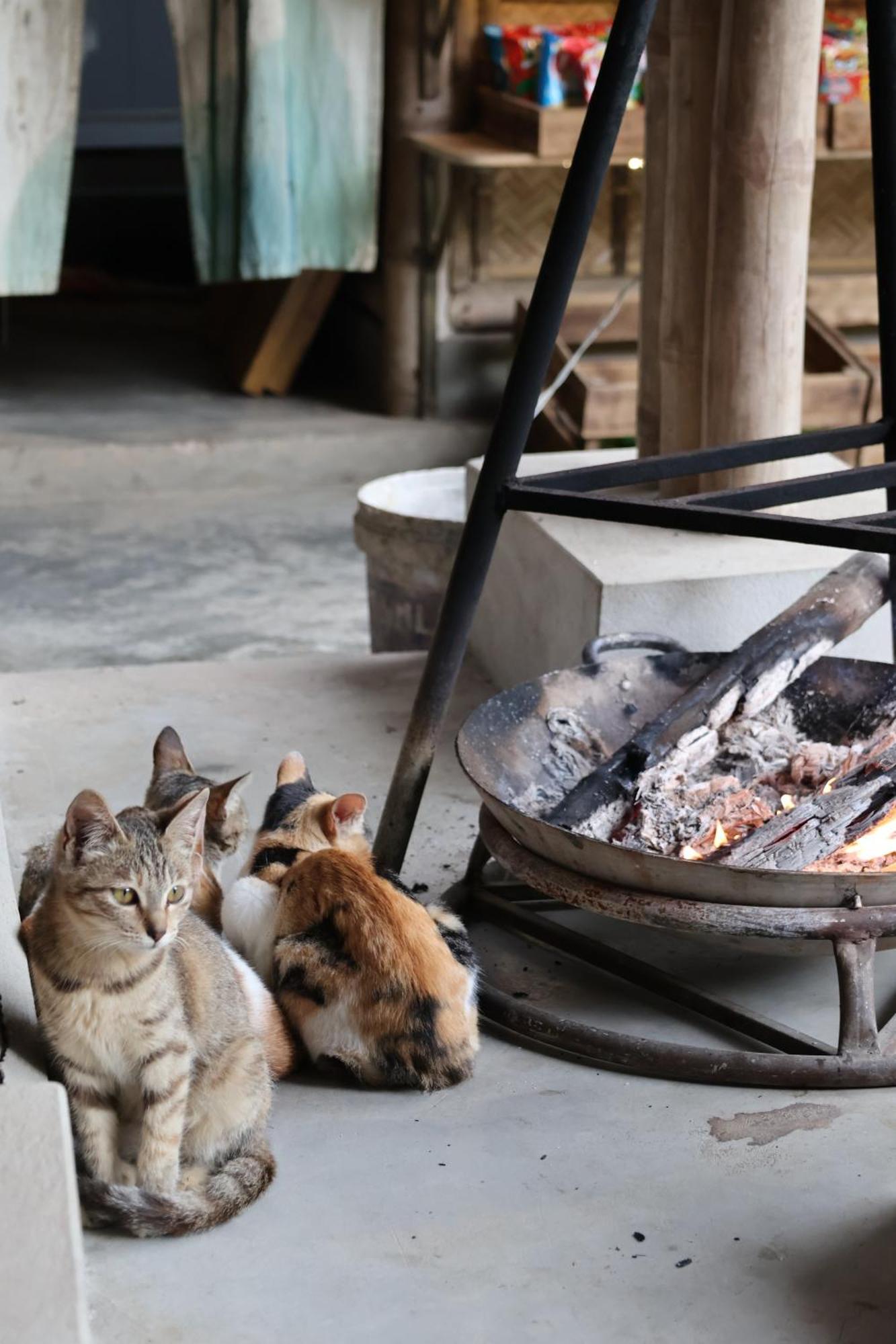 Dinh Gia Trang - Homestay & Coffee The Ruong Eksteriør billede
