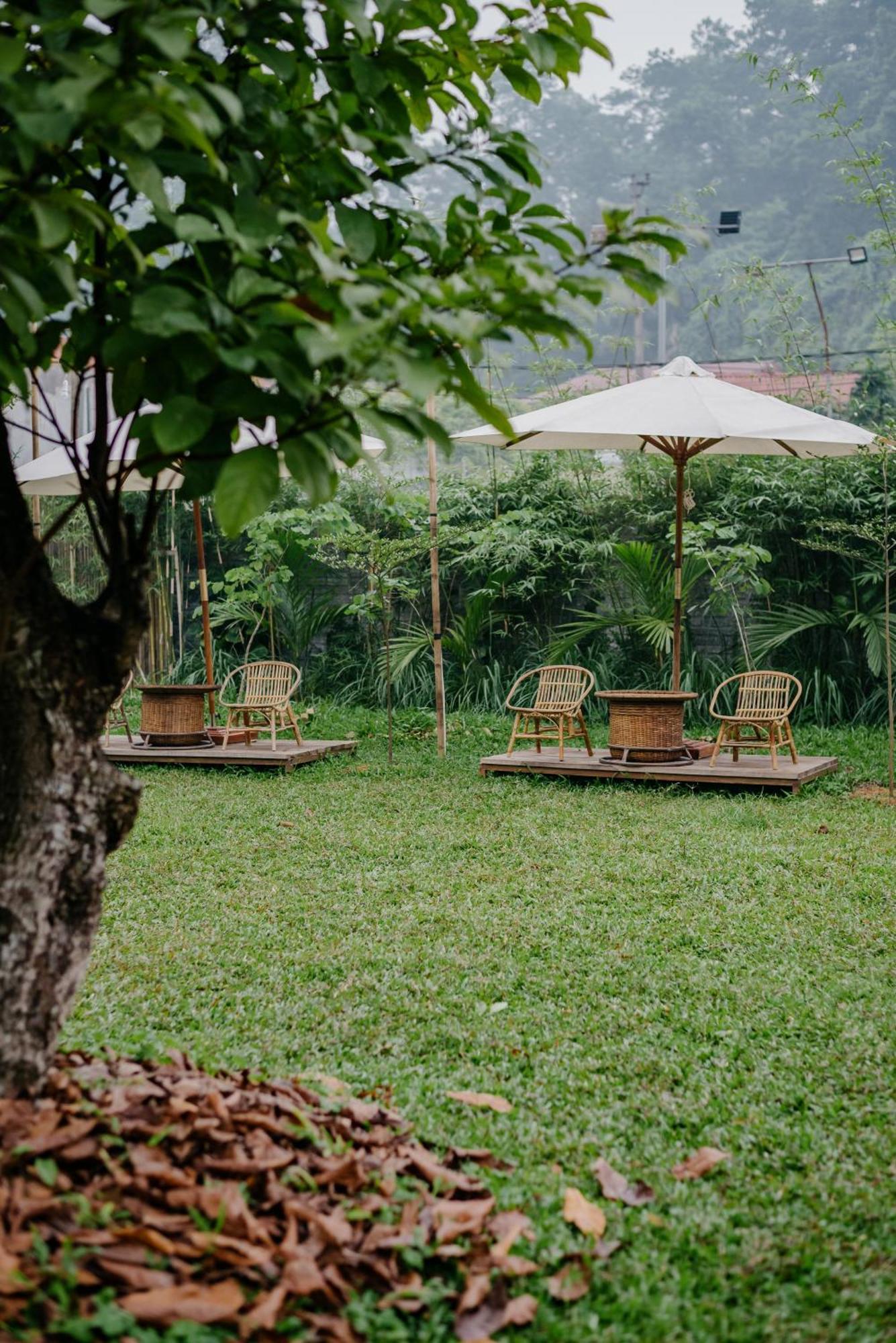 Dinh Gia Trang - Homestay & Coffee The Ruong Eksteriør billede